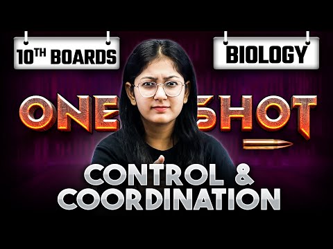 सिताके च्याउ किलोमै १५० रुपैयाँ बढ्यो, अरूको मूल्य कति ?